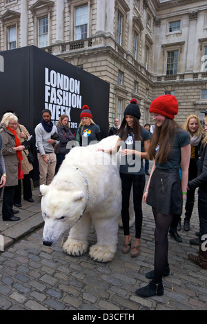 L'ours polaire Greenpeace visite London Fashion Week 15 février 2013 Somerset House, Londres, Angleterre, RU, FR Banque D'Images