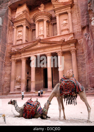 Camel en avant du trésor (Al khazneh) Ruines, Petra, Jordanie Banque D'Images