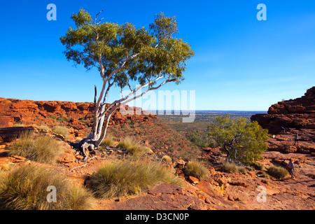 Kings Canyon Australie Centrale du Territoire du Nord Banque D'Images