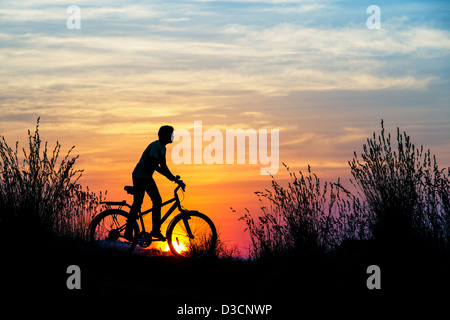 Indian boy riding bicycle parmi les graminées au coucher du soleil. Silhouette. L'Inde Banque D'Images