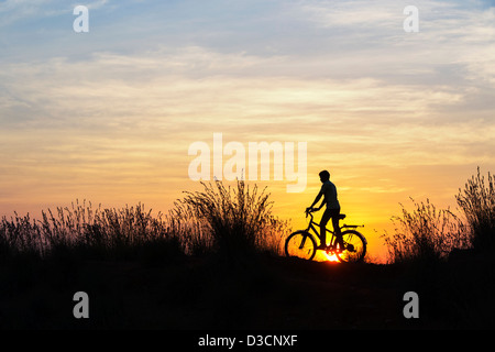 Indian boy riding bicycle parmi les graminées au coucher du soleil. Silhouette. L'Inde Banque D'Images