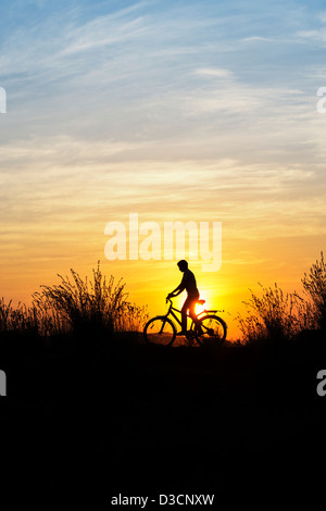 Indian boy riding bicycle parmi les graminées au coucher du soleil. Silhouette. L'Inde Banque D'Images