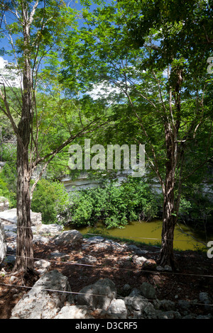 Le Cenote sacré @ Chichen Itza, Mexique Banque D'Images