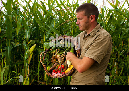 Agriculteur de la récolte d'une culture mixte de légumes frais de saison Banque D'Images