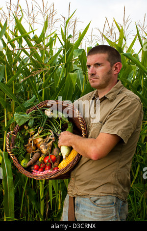 Agriculteur de la récolte d'une culture mixte de légumes frais de saison Banque D'Images