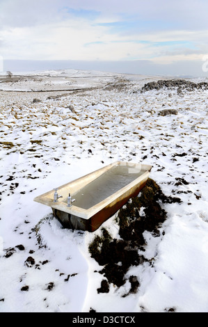 Ancienne baignoire en fonte pleine de l'eau congelée et utilisée comme abreuvoir pour les ovins sur les Maures au-dessus de Malham Cove. Banque D'Images