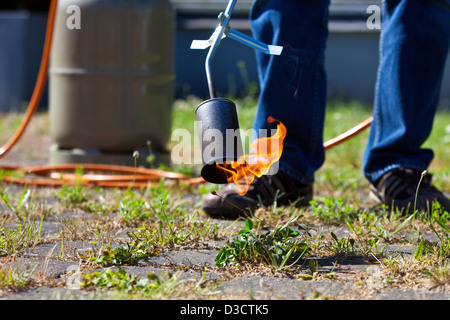 Kiel, Allemagne, le contrôle des mauvaises herbes à l'aide d'un brûleur à gaz Banque D'Images