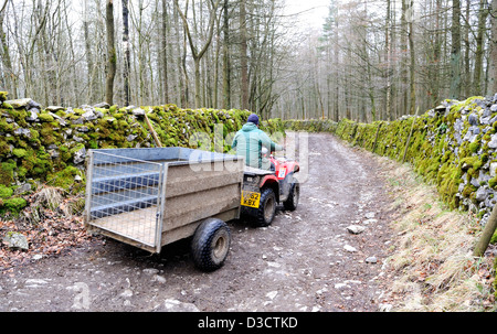 Agriculteur conduisant un véhicule de ferme quad tractant une remorque sur une paroi de pierre couvert de mousse bridleway dans les vallées du Yorkshire, Angleterre. Banque D'Images