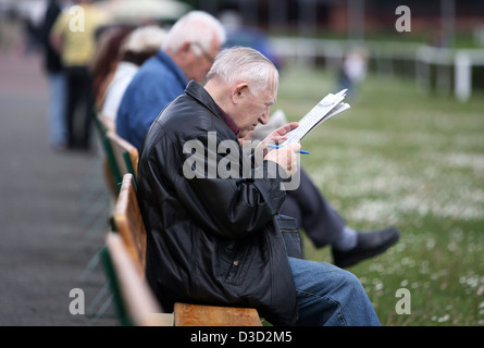 Dresde, Allemagne, l'homme d'étudier la liste des inscriptions aux courses Banque D'Images