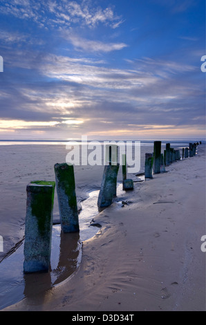 Épis à marée basse sur la plage de chabeuil, Somerset, Royaume-Uni. Banque D'Images