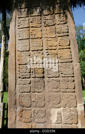 Guatemala, Quirigua Parc archéologique des ruines mayas (UNESCO). Détail de ornately carved stone stèle. Banque D'Images