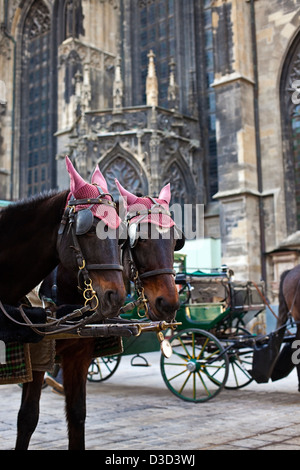 Transport de chevaux à Vienne Banque D'Images