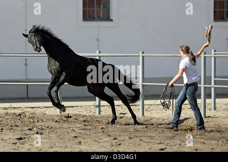 Neustadt / Dosse, en Allemagne, une femme au volant un cheval loin de eux-mêmes Banque D'Images