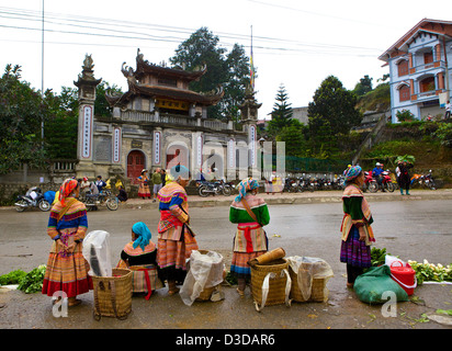 Marché du dimanche de Bac Ha Vietnam, province de Lao Cai, groupe de la minorité Hmong fleur Banque D'Images