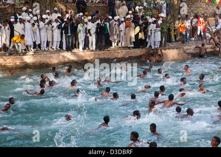 La natation dans l'éthiopiens Fasilidas piscine après la bénédiction, le Festival de Timkat (Epiphanie), Gondar, Éthiopie Banque D'Images