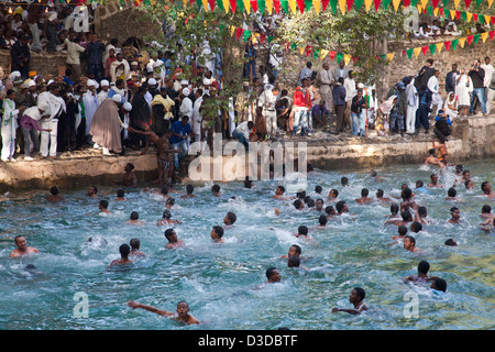 La natation dans l'éthiopiens Fasilidas piscine après la bénédiction, le Festival de Timkat (Epiphanie), Gondar, Éthiopie Banque D'Images