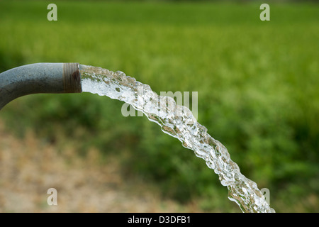 Le pompage de l'eau dans la campagne indienne pour l'irrigation des cultures de plantes. L'Andhra Pradesh, Inde Banque D'Images