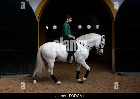 JEREZ DE LA FRONTERA, Espagne, 18 FÉVRIER 2008 : un jeune rider exerce son cheval à l'école royale andalouse d'art équestre, qui a été fondée par Alvaro Domecq en 1973. L'École a depuis été acheté par l'Andelucian les autorités de l'état et est maintenant une institution nationale. Banque D'Images