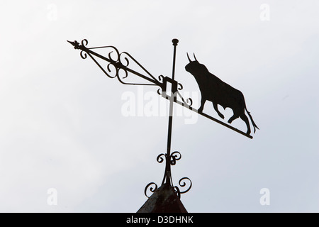 Serinyà, Séville, Espagne, 25 février 2008 : Une météo bull van se trouve sur le toit de l'écurie au Partido de Resina ganaderia, l'un des ranchs les plus célèbres de l'Espagne dont la réputation est d'être repris par le nouveau propriétaire après plusieurs années de déclin. Banque D'Images