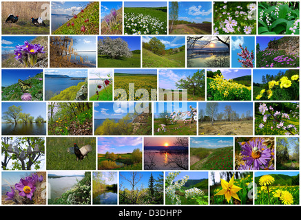Printemps en Russie collage à partir de paysages naturels Banque D'Images
