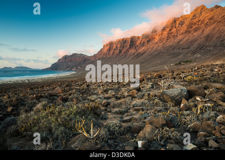 Malpais (terrain accidenté ou avec badlands gommage à sec) en face de la falaise de Famara et plage de Caleta de Famara, Lanzarote Banque D'Images