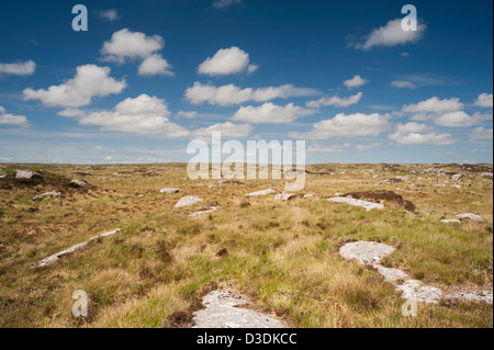 Les affleurements de granit dans bogland près de Spiddal, Connemara, Co Galway, Irlande Banque D'Images