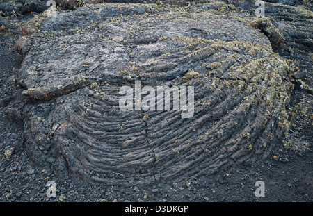 Détail de la pahoehoe vésiculaire couverte de lichen ou de la lave basaltique ropie près de Masdache, Lanzarote, îles Canaries, Espagne Banque D'Images