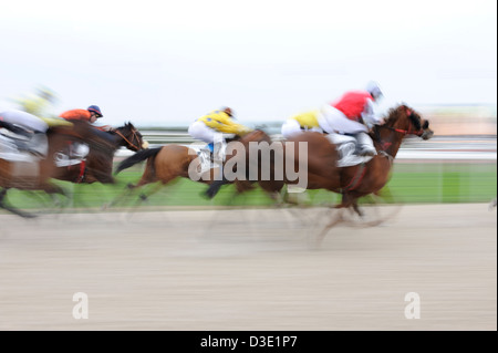 Course de chevaux à Cagnes sur Mer, Alpes Maritimes, Mer Méditerranée, France Banque D'Images