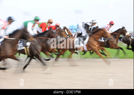 Course de chevaux à Cagnes sur Mer, Alpes Maritimes, Mer Méditerranée, France Banque D'Images