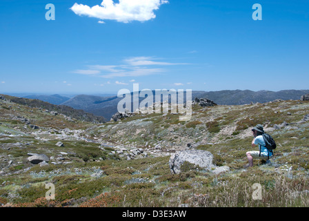 Randonnée au mont Kosciuszko, Département de parc national. Banque D'Images