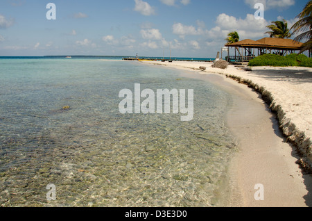 Le Belize, la mer des Caraïbes, Goff Caye. Une petite île au large de la côte de Belize City, Belize le long de la Barrière de Corail. L'UNESCO Banque D'Images