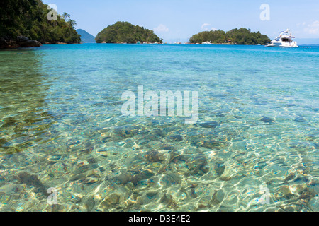 Lagoa Azul Crystal Waters clair, Ilha Grande, Angra dos Reis, Rio de Janeiro, Brésil Banque D'Images