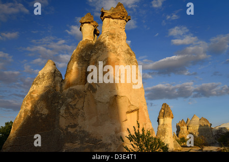 Cheminées de fées phallique et les ombres dans la lumière dorée au coucher du soleil dans la vallée de Pasabag Moines Turquie Cappadoce Banque D'Images