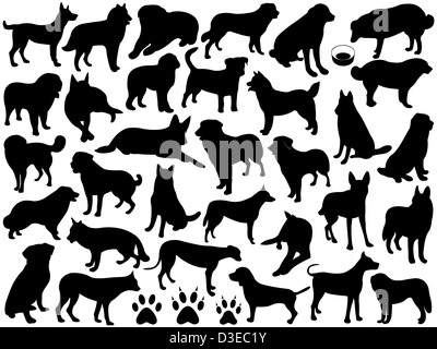 Les chiens d'ossature Collage isolated on white Banque D'Images