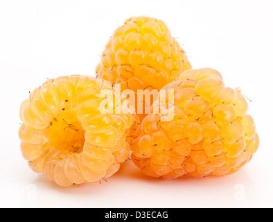 Framboises jaune isolé sur fond blanc. Banque D'Images