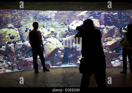 Visiteur pose à côté de l'Aquarium fish tank dans l'Atlantis Hotel Palm Dubai UAE comme un photographe prend une photo. Banque D'Images