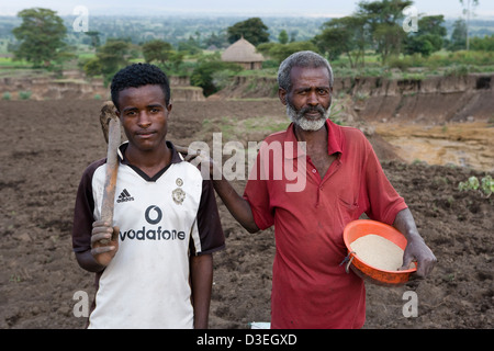 VILLAGE DE JAFFA, ZONE WOLAYITA, Éthiopie, le 19 août 2008 : agriculteur sème tef récolte sur son champ gravement érodées Banque D'Images