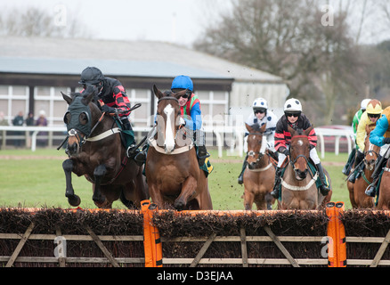 15 février 2013 courses Fakenham photo par Adrian Judd Banque D'Images