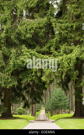 Sentier de la forêt et des arbres au cimetière skogskyrkogarden à Stockholm, Suède Banque D'Images