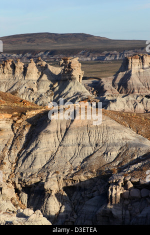 Blue Mesa, qui fait partie du parc national de Petrified Forest, présente des badlands bleus et violets vifs et des arbres fossilisés de la fin du Trias. Le parc est réputé pour ses caractéristiques géologiques et son importance préhistorique, géré par le National Park Service pour la recherche scientifique et l'éducation du public. Banque D'Images