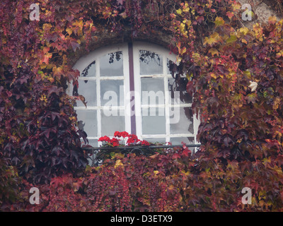 Blois, Loir et Cher, France Banque D'Images
