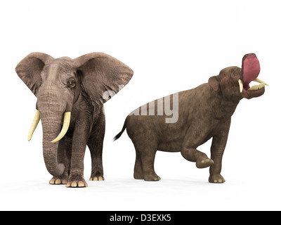 Un adulte par rapport à un Platybelodon adulte moderne éléphant africain. Banque D'Images