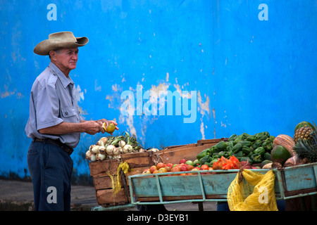 La vente du vendeur cubain les fruits et légumes frais à l'échoppe de marché à Viñales, Cuba, Caraïbes Banque D'Images