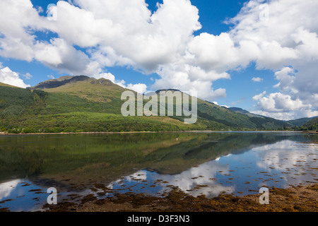 Le Loch Long hillslide avec refections Ecosse Banque D'Images