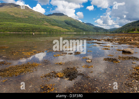 Le Loch Long hillslide avec refections Ecosse Banque D'Images