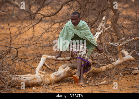 NYTALIYO, AU NORD D'ELWAK, L'EST DU KENYA, 3 septembre 2009 : Un homme est assis sur un arbre abattu et considère le suicide. Banque D'Images