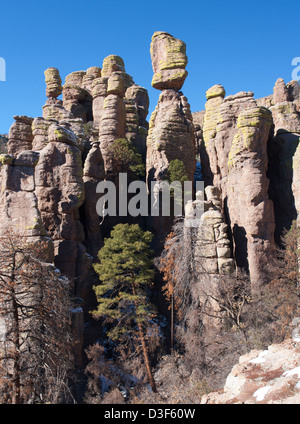 Monument National Chiricahua en hiver Banque D'Images