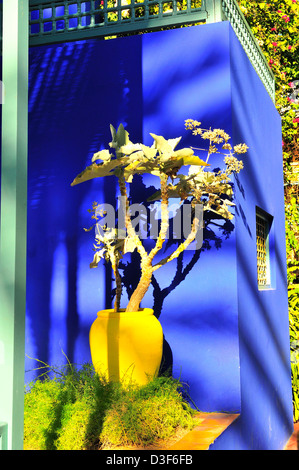 L'éclat des couleurs -le bleu de cobalt et le jaune de chrome ornent les murs et des pots de cactus au Jardin Majorelle Jardin Majorelle (Marrakech, Maroc) Banque D'Images