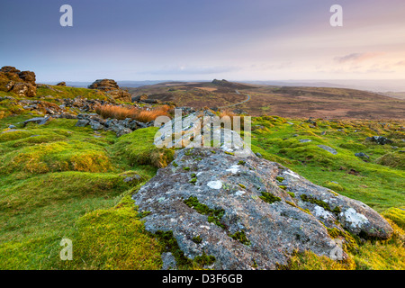 Vue de Rippon Tor vers The Haytor Rocks dans le Dartmoor National Park près de Widecombe dans la Lande, Devon, Angleterre, Royaume-Uni, Europe. Banque D'Images