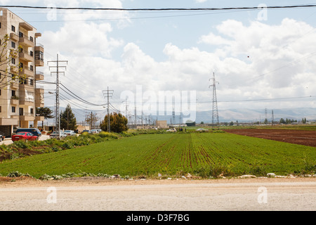 Vue côté rue de la vallée de la Bekaa, dans le nord du Liban. Cette région est parfois appelée le berceau de la civilisation. Banque D'Images